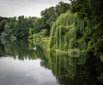 Die Liebe… zu Berlin, in Berlin und überhaupt.