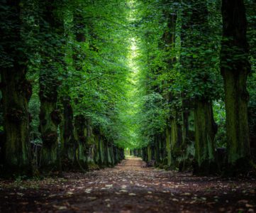 Jüdischer Friedhof – Berlin Weissensee