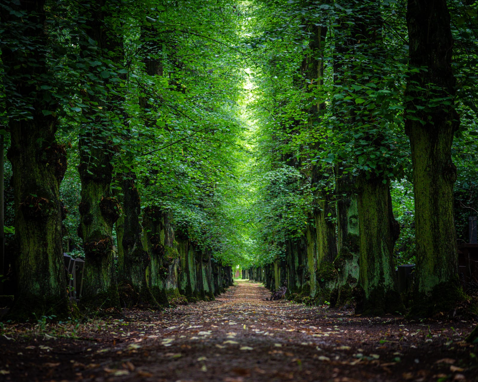 Jüdischer Friedhof – Berlin Weissensee