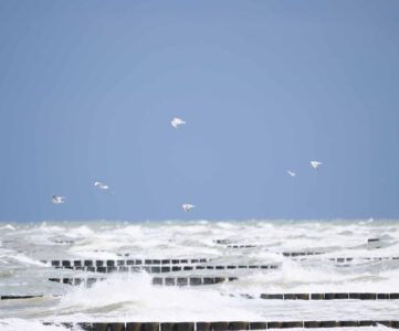 Eine Insel mit…
